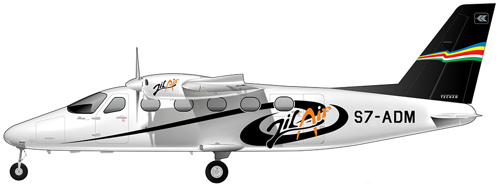 Zil Air Tecnam P2012