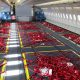 Finnair A330 Cabin Cargo