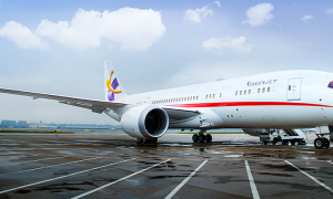 Deer Jet Boeing BBJ 787 VVIP