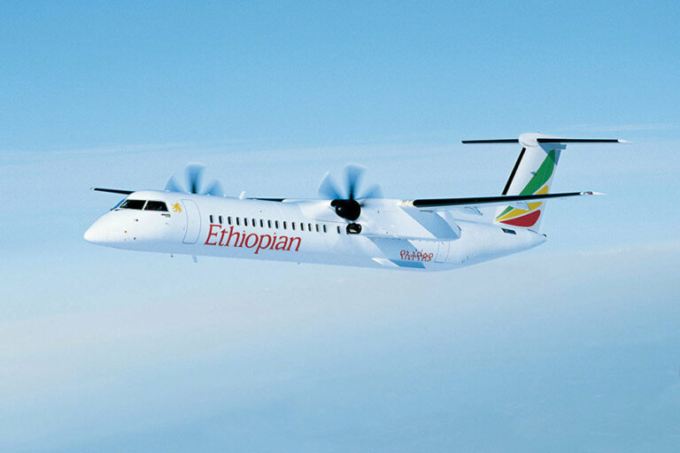 Brussels Airlines Unveils Aerosmurf Aircraft