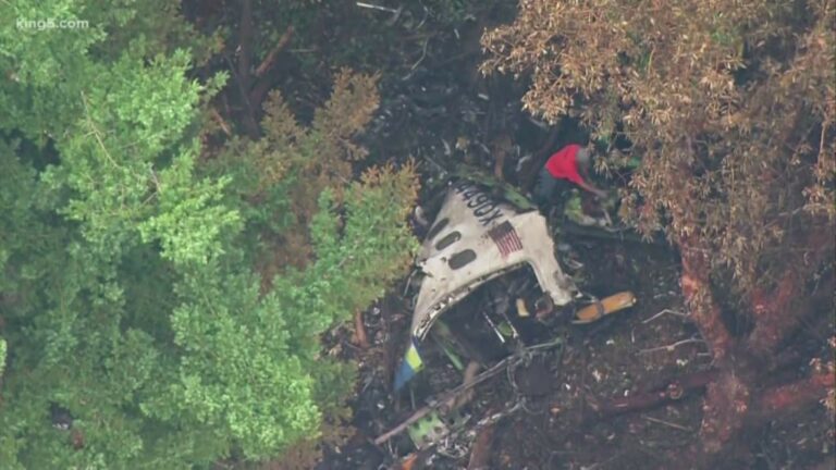 Horizon Air Worker Steals Plane From Sea-Tac Airport, Crashes in a Wooded Area