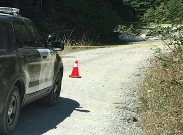 Medical Plane Vanishes Off California Coast